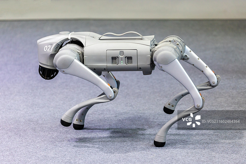 2025年深圳CEIC消费电子创新大会上的各式四足机器人展示图片素材