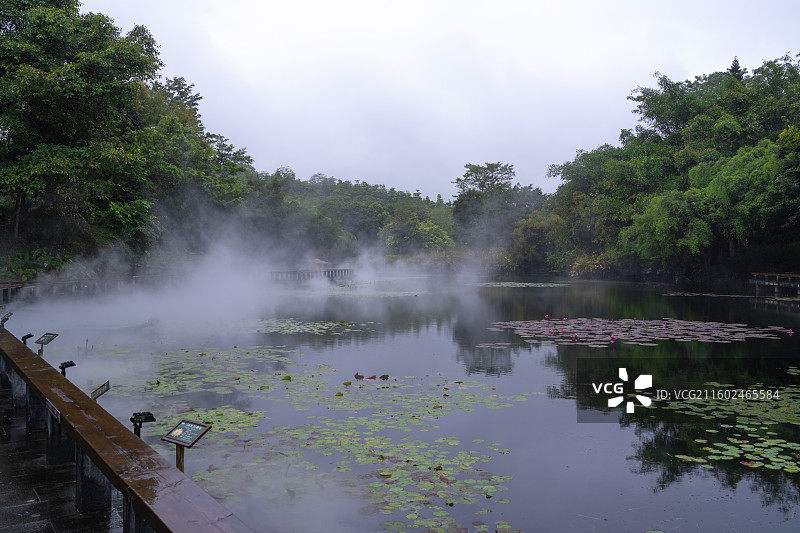 仙境般的南宁市青秀山桂花园赏荷湖美丽风景图片素材