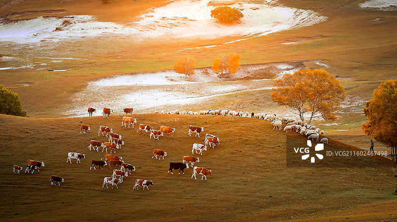 草原牧歌图片素材