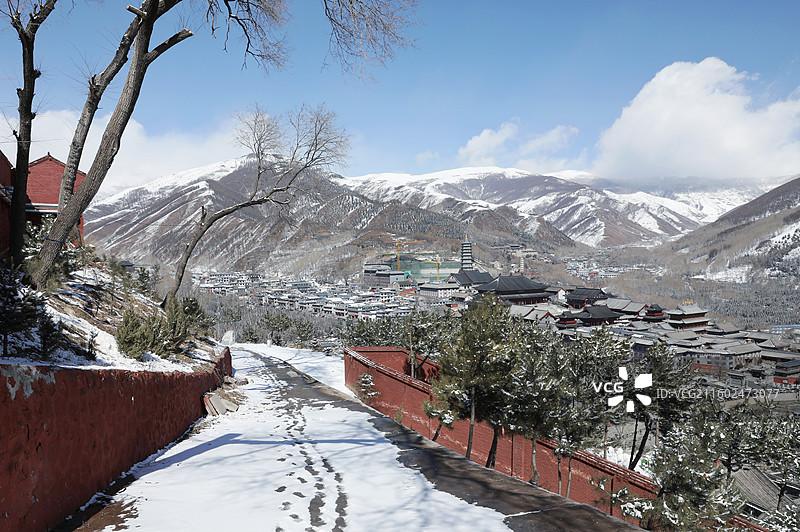 五台山菩萨顶红墙寺庙大雪雪地广化寺塔图片素材