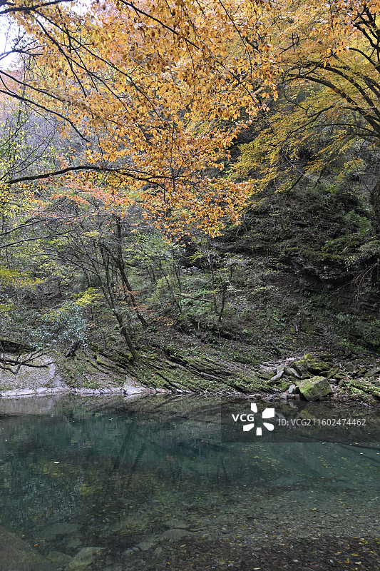 黎坪国家森林公园图片素材