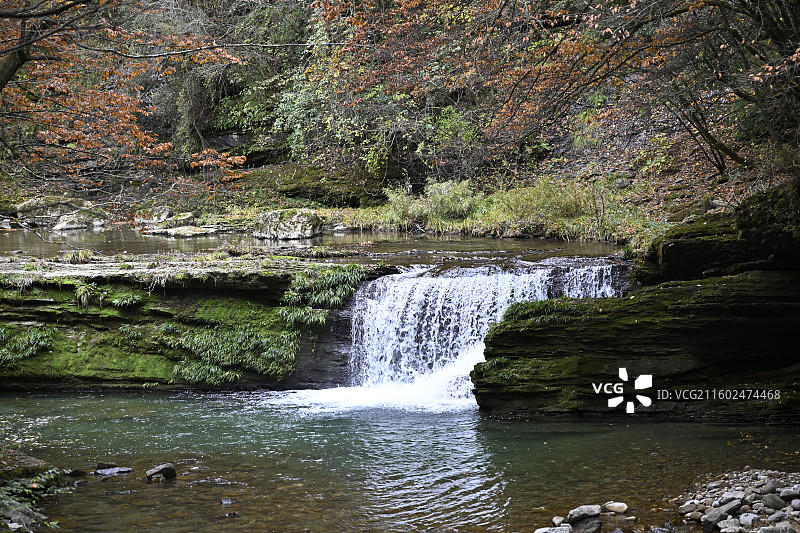 黎坪国家森林公园图片素材