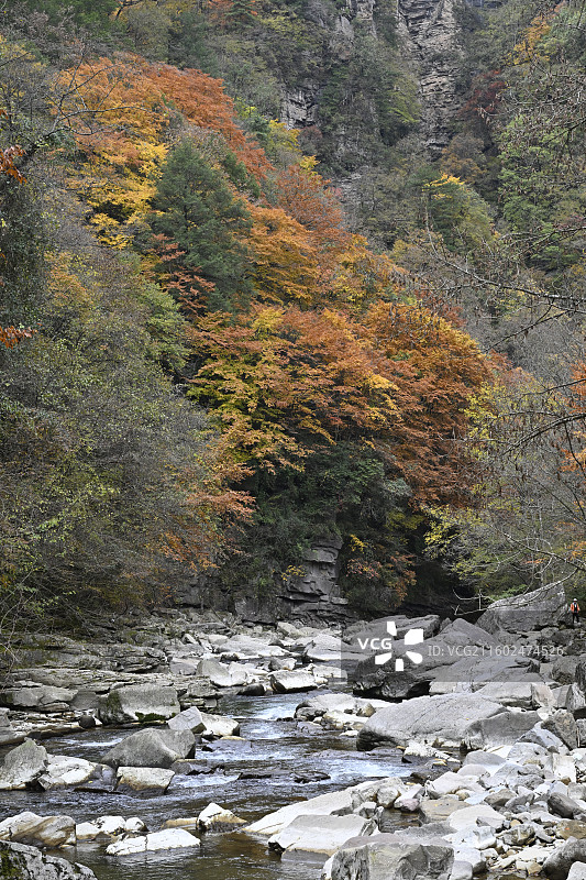 黎坪国家森林公园图片素材