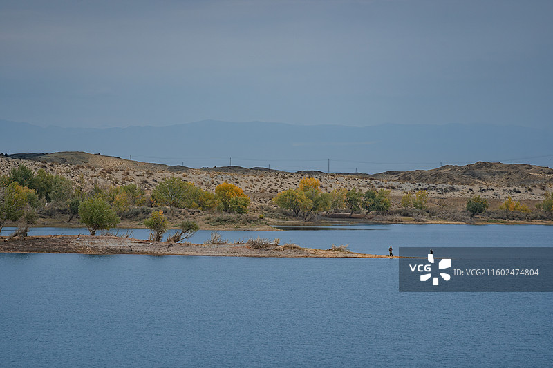 戈壁滩湖泊与少量植被，新疆图片素材