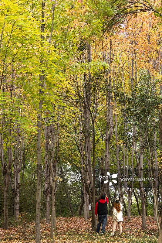 立冬寻色银河公园图片素材