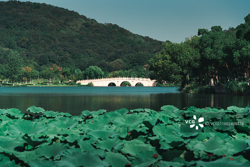 嘉兴海盐南北湖图片素材