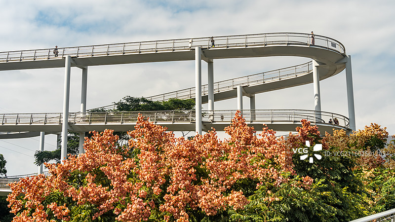 厦门山海步道和栾树图片素材