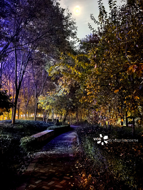 十里长街华灯靓，九重霓虹映云裳 琼楼玉树瑶台境，金碧辉煌耀殿光 漫步园林寻美景，徜徉云阁丹桂香图片素材