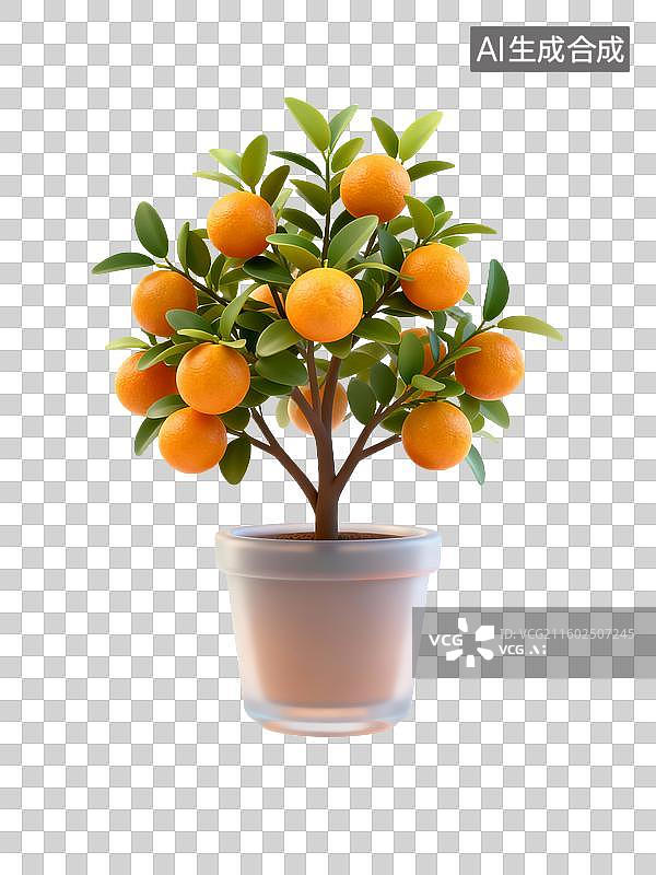 【AI数字艺术】室内盆栽小橘子树图片素材