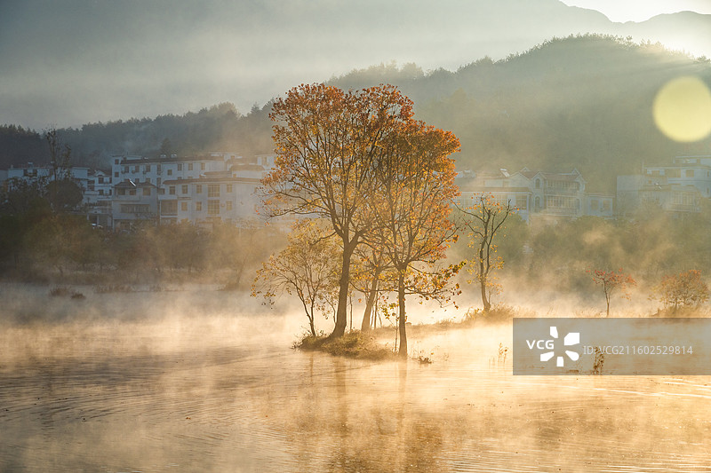 罗田河西畈村，武汉出发1.5h。早上五点起床蹲守，朝阳、晨雾、水中乌臼倒影，以及笔架山⛰做背景，绝了图片素材