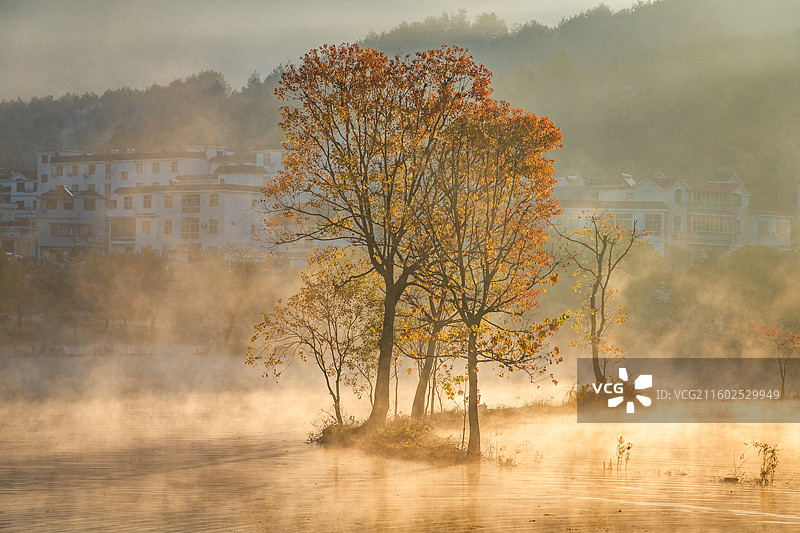 罗田河西畈村，武汉出发1.5h。早上五点起床蹲守，朝阳、晨雾、水中乌臼倒影，以及笔架山⛰做背景，绝了图片素材
