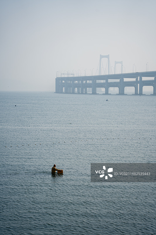 星海湾大桥——走向大海？图片素材