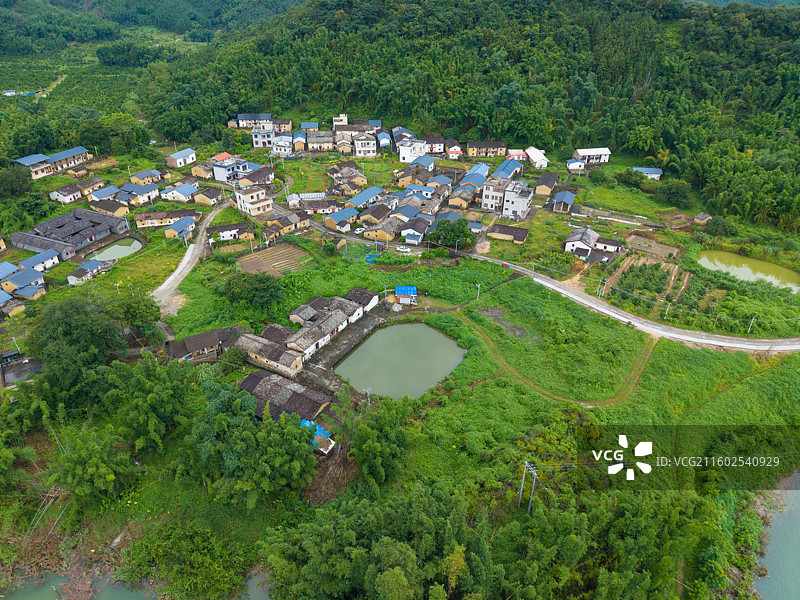 广东省惠州市龙门县，下底围，天堂山水库，生命之树，航拍自然风光！图片素材