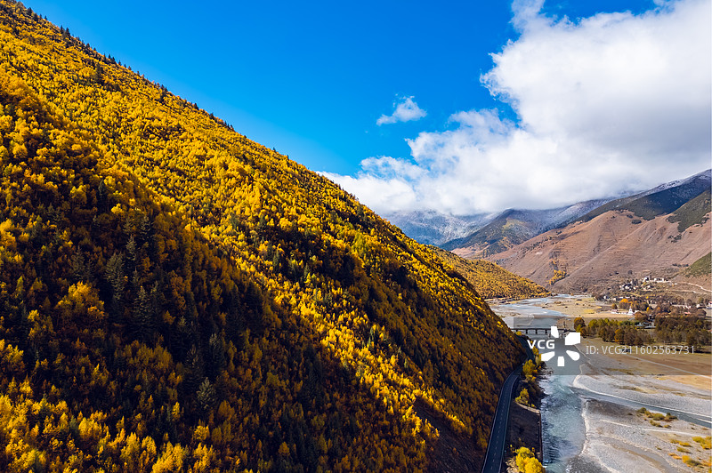 川西彩林秋景图片素材