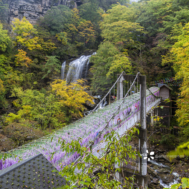 陕西省汉中市黎坪森林公园枫林桥（5D玻璃桥）景观图片素材