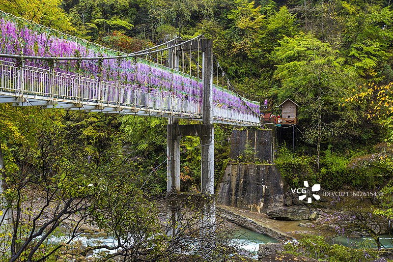 陕西省汉中市黎坪森林公园枫林桥（5D玻璃桥）景观图片素材