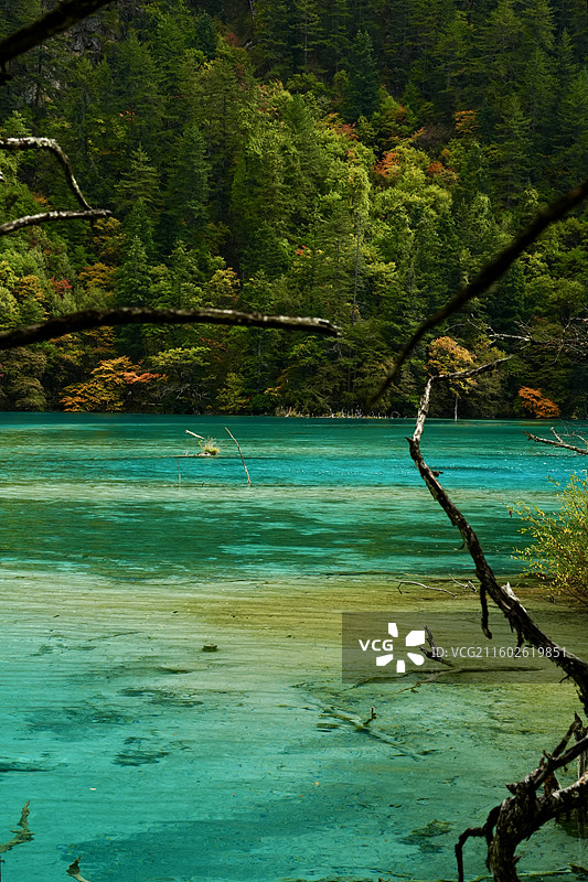 九寨沟 双龙海图片素材