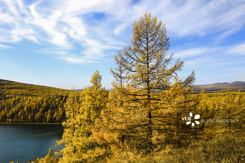 内蒙古阿尔山国家森林公园驼峰岭天池图片素材