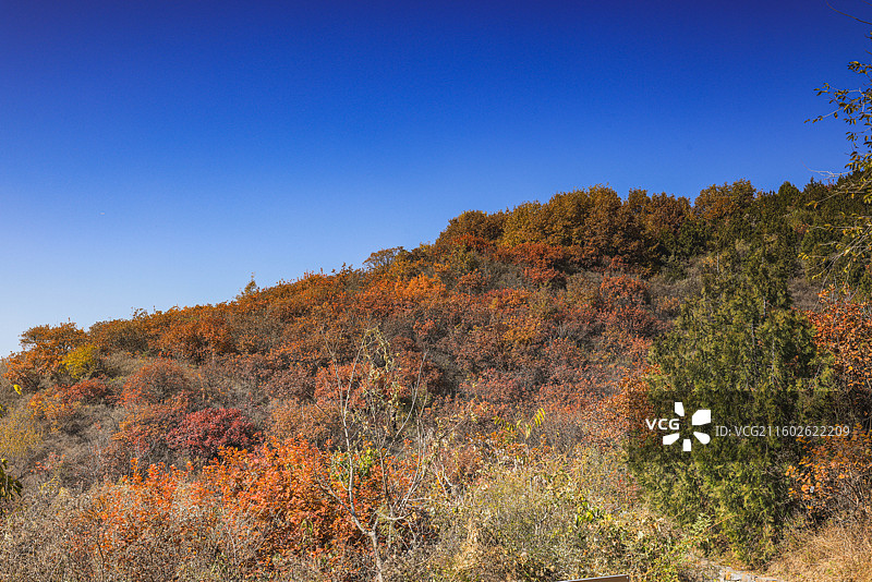 西山秋色图片素材