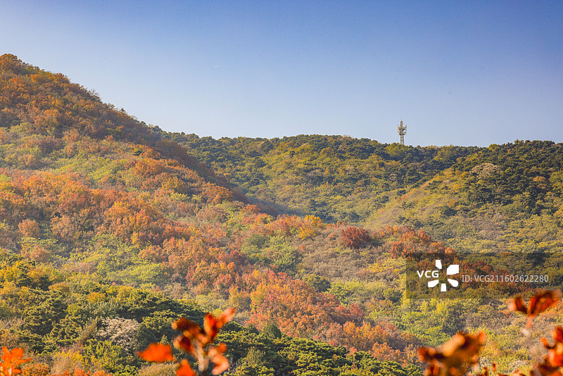 西山秋色图片素材