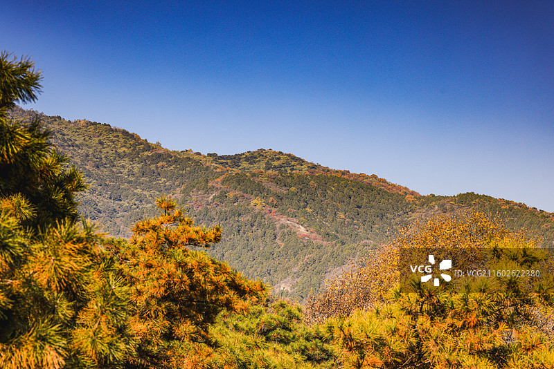 西山秋色图片素材