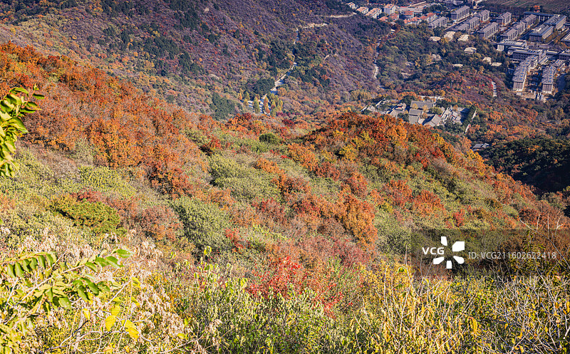 西山秋色图片素材