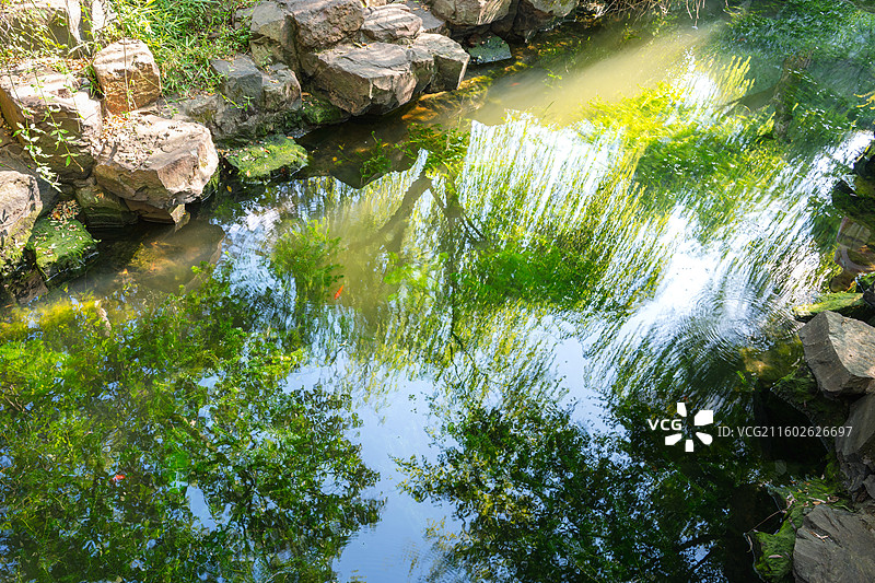 留园西园寺苏州园林清澈池塘红色金鱼柳树倒影石块驳岸俯视构图图片素材
