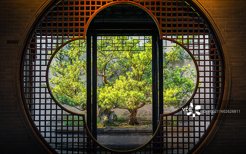 留园西园寺苏州园林圆形花窗绿植庭院奇石古树中式美学意境图片素材