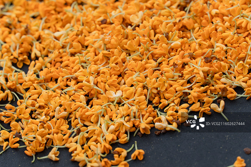 掉落在黑色雨伞上的金色桂花图片素材