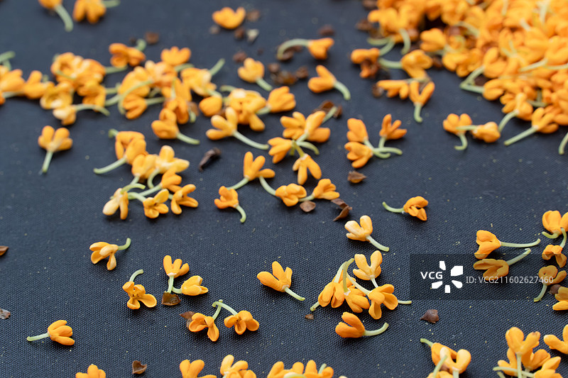 掉落在黑色雨伞上的金色桂花图片素材