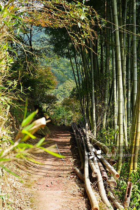 宁波奉化溪口镇雪窦山图片素材
