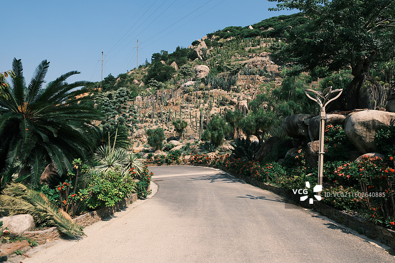 福建漳州石岩植物园图片素材