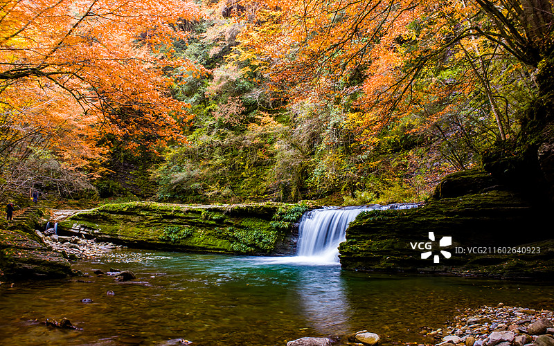 汉中南郑黎坪秋天红叶图片素材