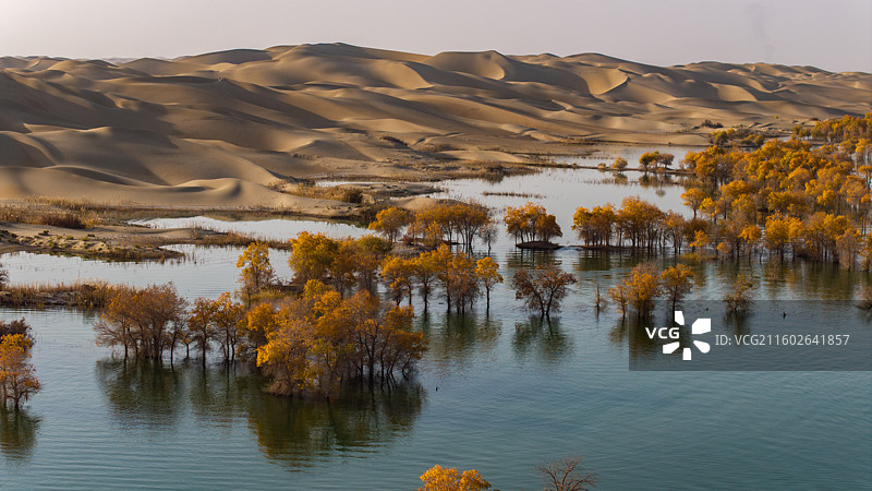秋天里的新疆尉犁县葫芦岛风光图片素材