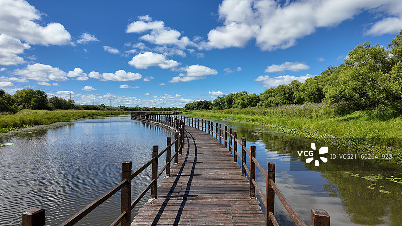 亚洲中国黑龙江省佳木斯市抚远市中国黑瞎子岛旅游区与湿地公园夏季拍摄图片素材