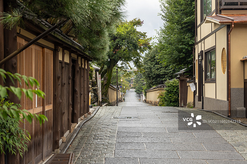 传统京町家与松树：京都祇园老街，古朴的木格栅建筑。图片素材