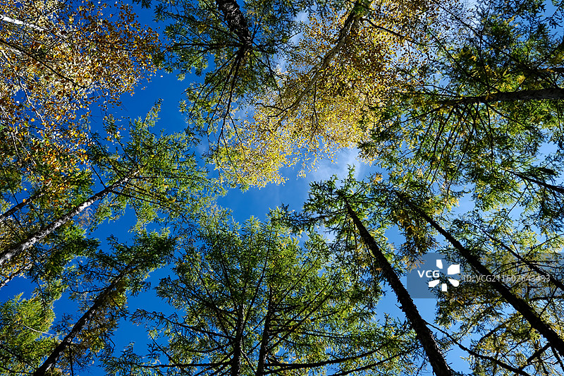 根河源国家湿地公园图片素材