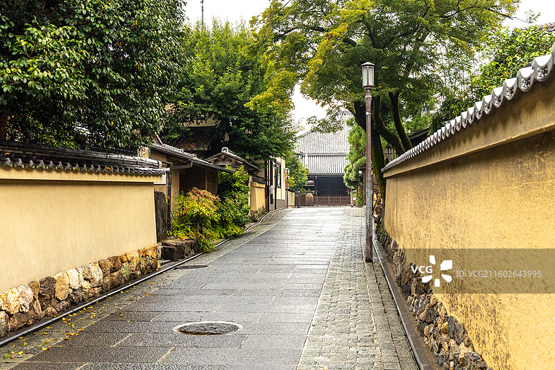 京都石塀小路：清晨雨后的宁静石板路与高台寺土墙图片素材