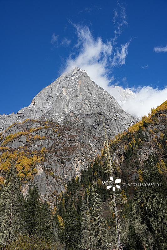 川西 秋景 四姑娘山景区的长坪沟徒步路线上的婆缪峰图片素材