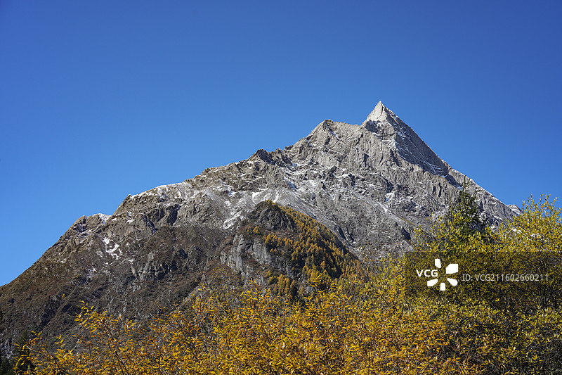 四姑娘山景区 长坪沟的婆缪峰 秋景图片素材