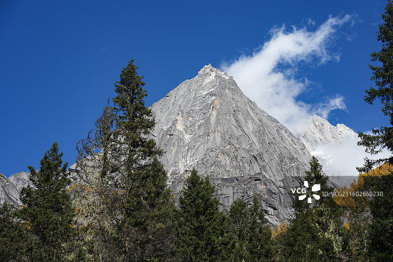 川西 秋景 四姑娘山景区的长坪沟徒步路线上的婆缪峰图片素材