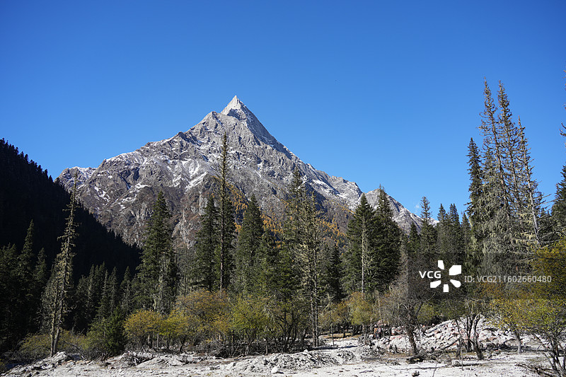 川西 秋景 四姑娘山景区的长坪沟徒步路线上的婆缪峰图片素材