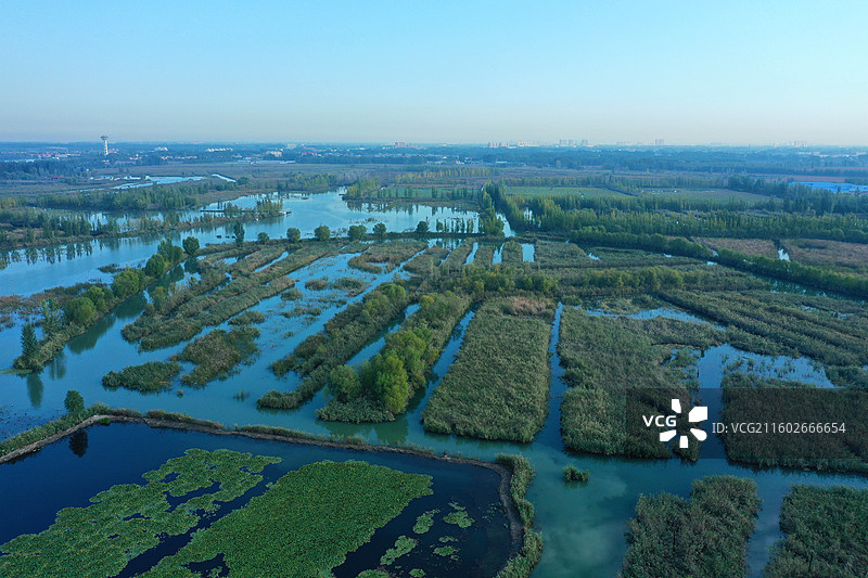 喜降冬雨净尘埃，银杏枫红异彩裁  鸿雁远征穿雾过，珍馐慢炖御寒来  千山万水凭栏眺，无尽风光入镜开图片素材