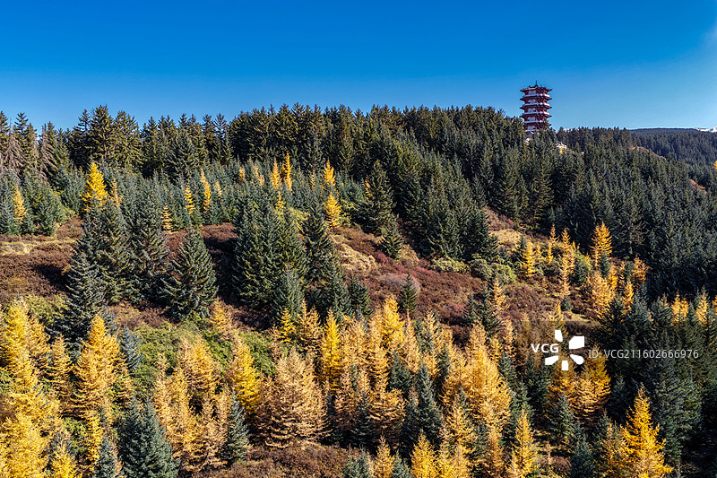 焉支山的秋天图片素材