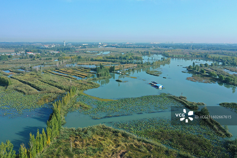 喜降冬雨净尘埃，银杏枫红异彩裁  鸿雁远征穿雾过，珍馐慢炖御寒来  千山万水凭栏眺，无尽风光入镜开图片素材
