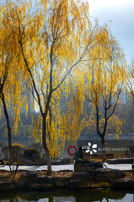 立冬的西宁人民公园图片素材