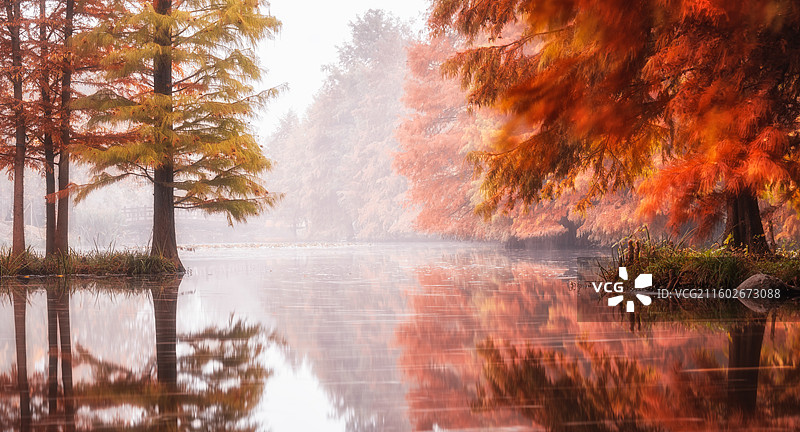 南京明孝陵秋景图片素材