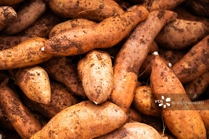 成熟的红薯图片素材