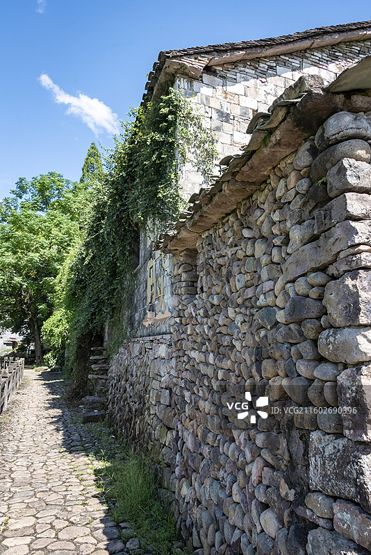 台州仙居皤滩古镇，石墙古巷，绿植攀附，石板路蜿蜒，尽显古朴韵味。图片素材
