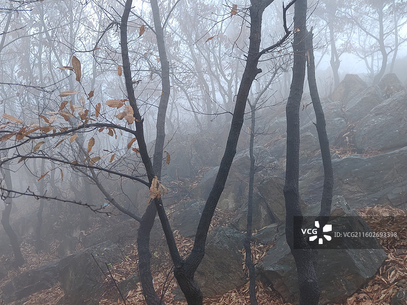 立冬节气，攀爬莒县屋楼崮，大雾天气图片素材